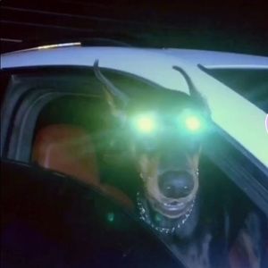 Meet your Posher, Marcos